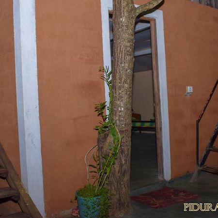 Pidurangala Hostel Сигирия Экстерьер фото